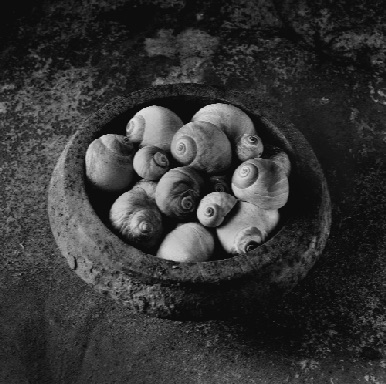 BOWL OF SNAILS